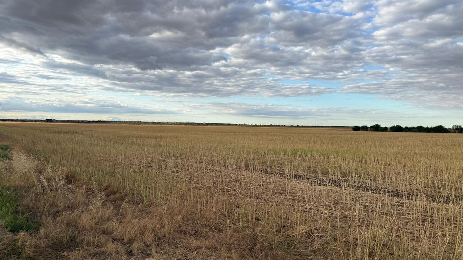 Teren intravilan Branesti - Poză 3