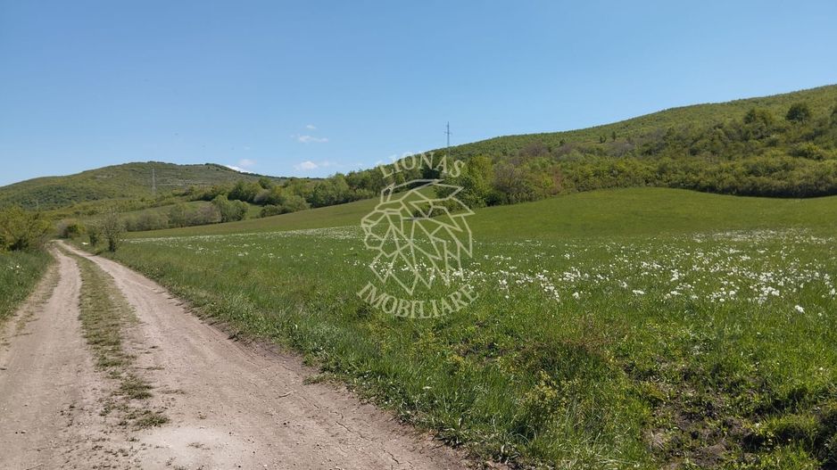 Teren 5400 mp-limita intravilan-2 deschideri-Sarata - Poză 3