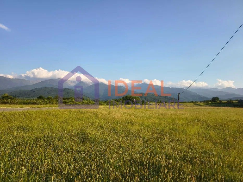 Teren extravilan de vânzare | Cârțișoara | 1800 mp - Poză 5