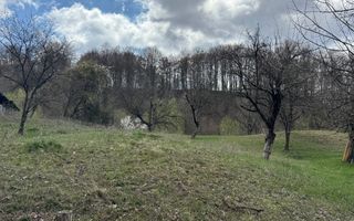 TEREN INTRAVILAN 4365 MP POENARII DE MUȘCEL  JUDEȚUL ARGES - Poză 25