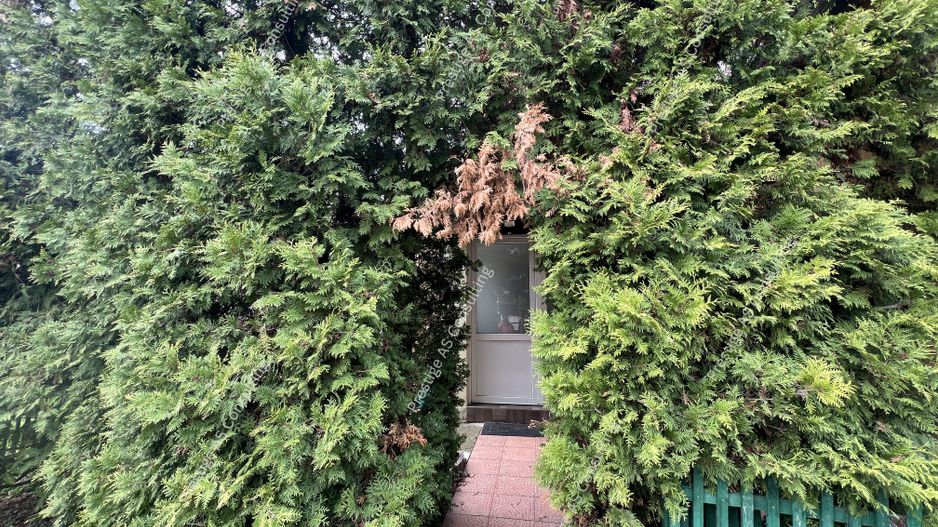 Vila individuala renovata complet | 6 camere | 500 mp teren | Str Jean Monnet - Poză 37