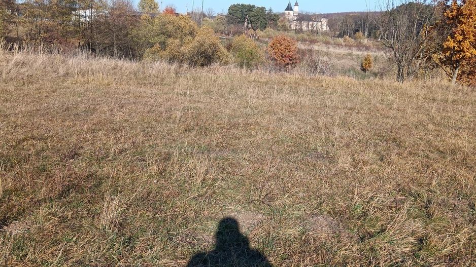 Teren langa Padure Dragomirna 40 Ari ISuceava/Dragomirna I 63.000Euro - Poză 6