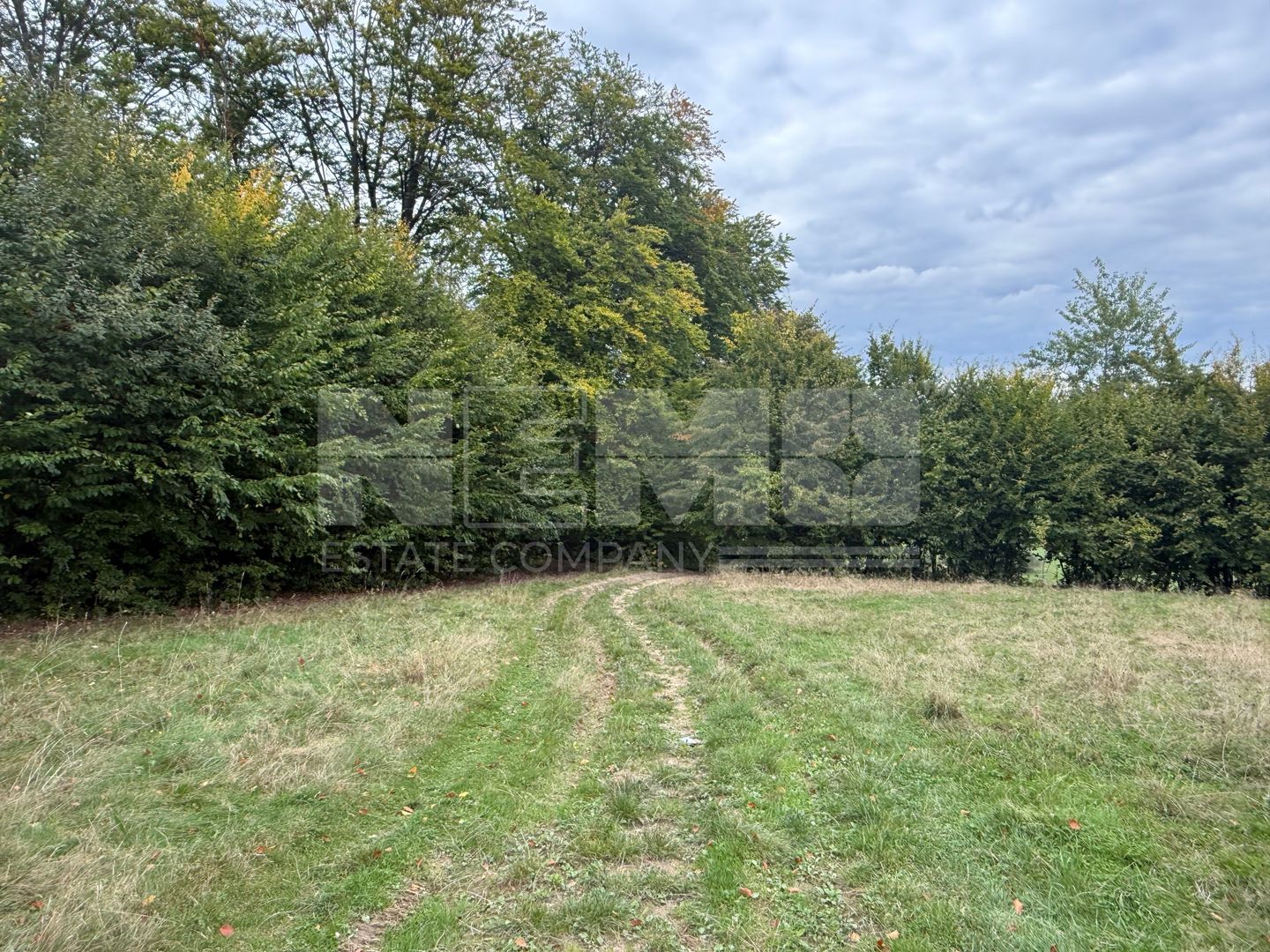Teren de vânzare în Putna | 6.400 mp | 56 m front stradal - Poză 6