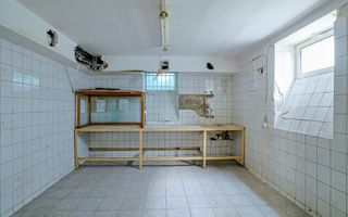 PIATA ROMANA - Calea Dorobanti | Vila - Spatiu Comercial - Poză 28