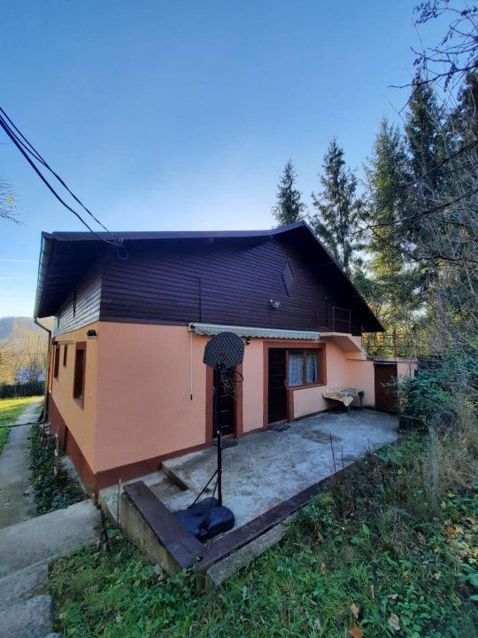 Casa 4 camere, teren 1960m2, CT, Provita, Prahova - Poză 5
