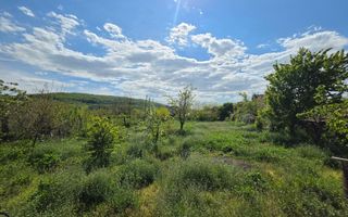 Casa 2 Camere + Bucatarie, 1100mp Teren, Sat Totoi - Poză 4