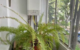Apartament 3 camere Sagului etaj 2 cu centrala - Poză 8