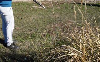 Ideal Complex Vile sau Duplexuri. - Poză 6