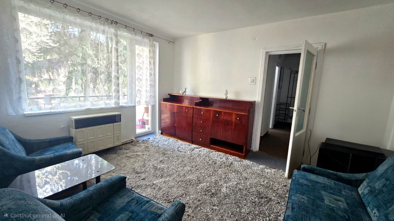Chirie 2 Camere Satu Mare Central - Poză 4