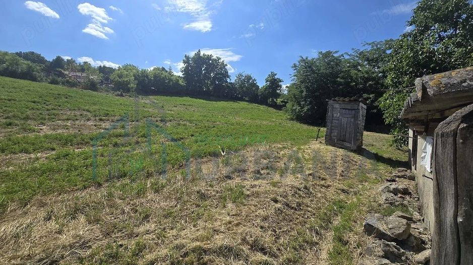 Ansamblu rezidențial cu două case și teren de 1,4 hectare, Bohotin - Poză 7