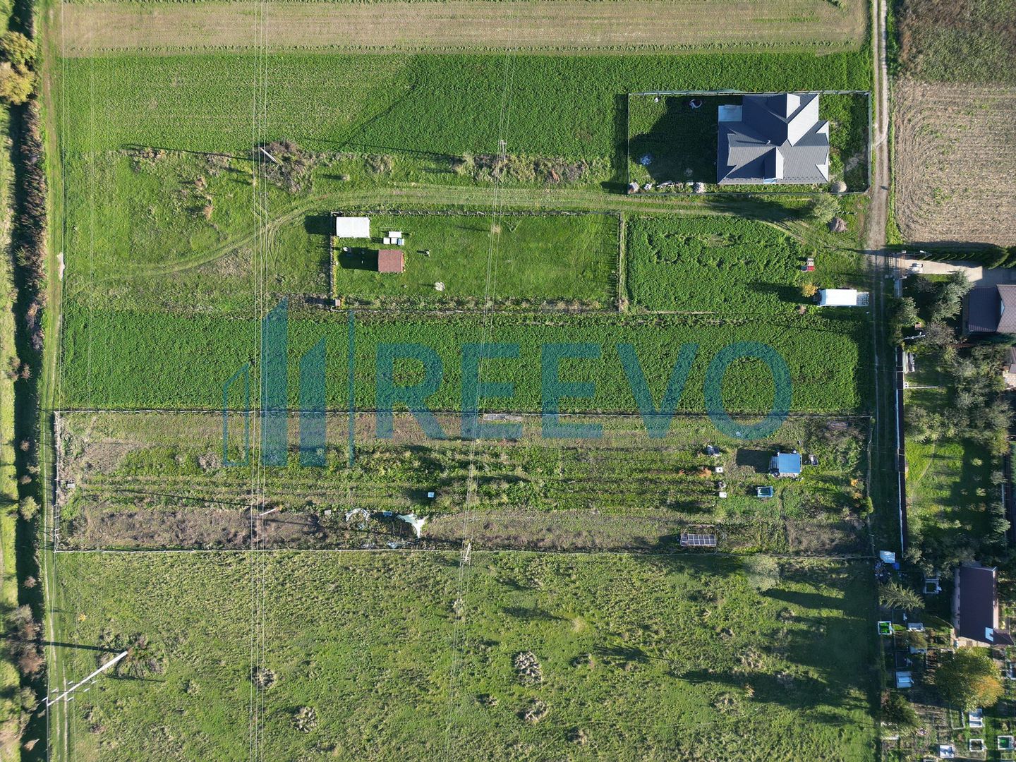 Teren 3.600 mp Lilieci - Poză 4