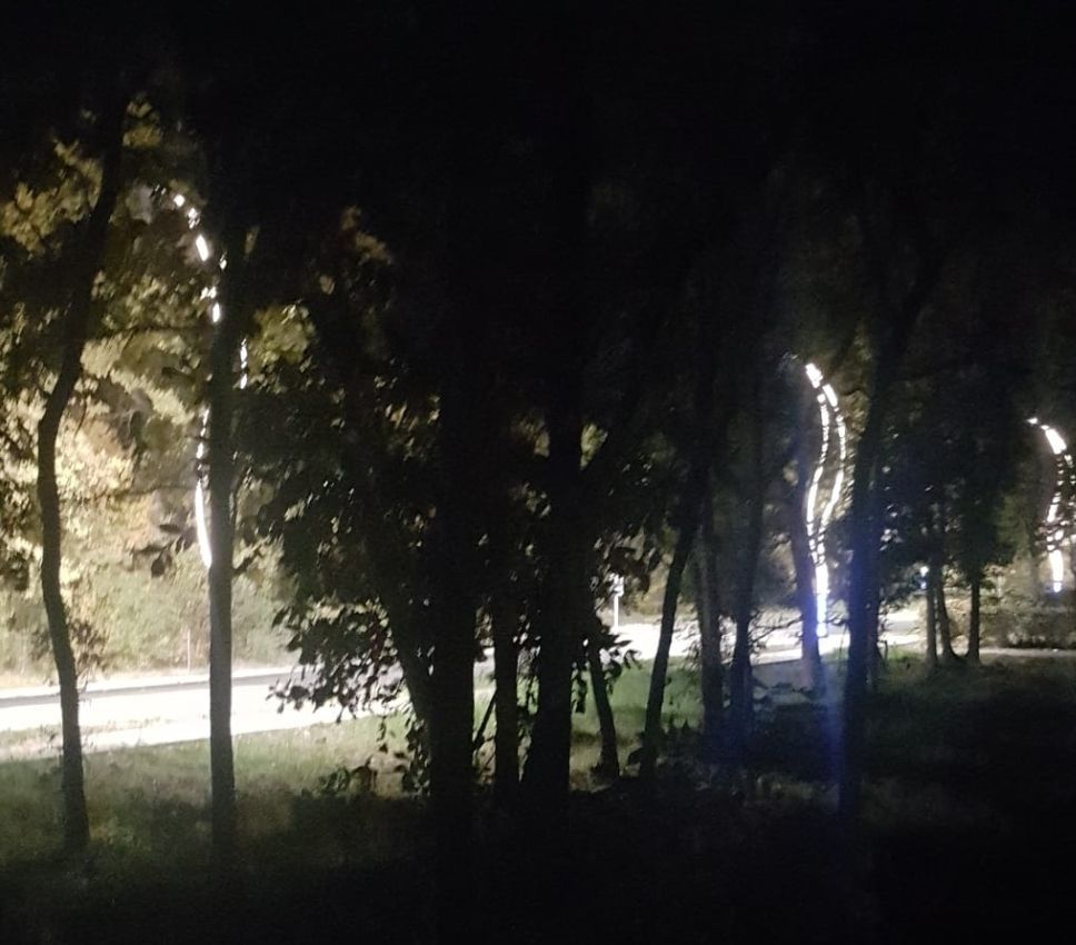 Teren Generos/ Locatie Premium - Poză 3