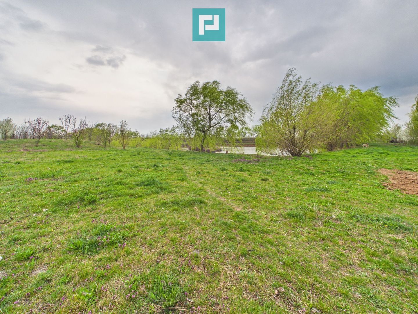 Teren 1 ha cu baltă populată – Alioș (Mașloc) - Poză 4