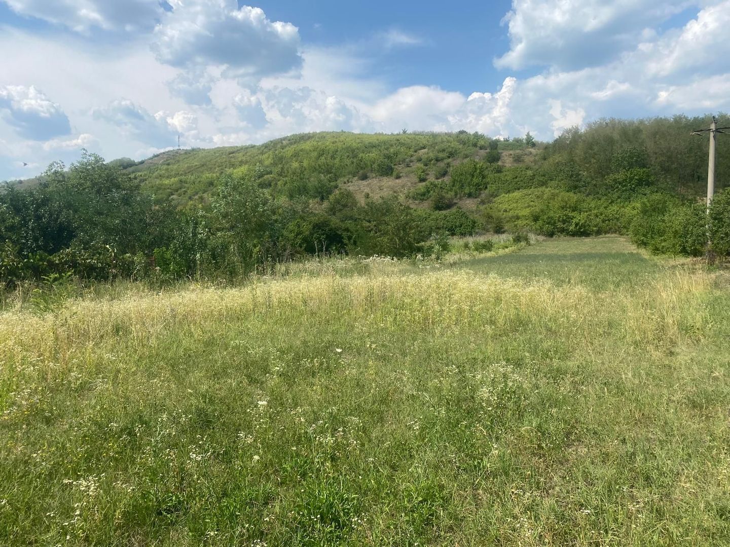 La cateva minute de oras! Vanzare teren intravilan in Viforata - Poză 3