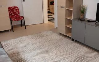 Apartament modern 1 camera Dec 40 mp Baza 3 Carrefour Felicia 350 euro - Poză 3