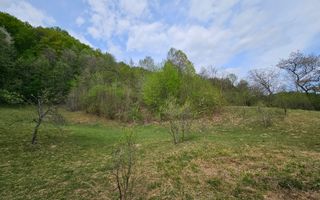 Teren intravilan 1454 mp la marginea padurii zona locuita de case! - Poză 9