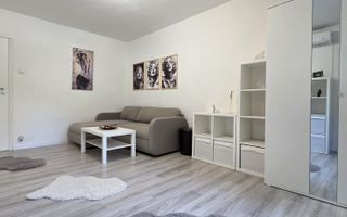 VANZARE GARSONIERA MOBILATA SI UTILATA  - TINERETULUI - Poză 4