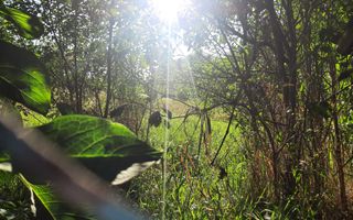 Exclusivitate! Casa în Zona Dâmbul Rotund, 3046mp teren. - Poză 3