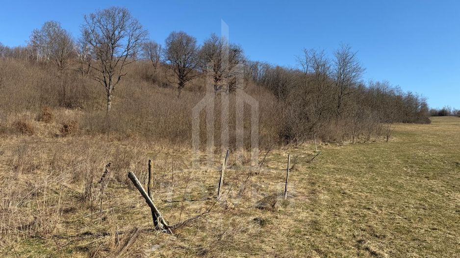 Teren EXTRAVILAN de vânzare în Săcel - Poză 6