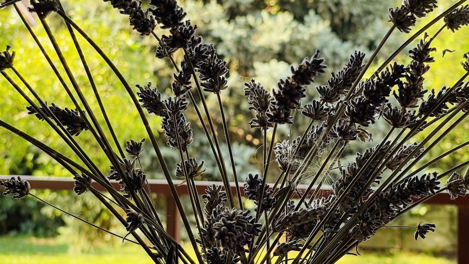 Casa individuala cu 4 dormitoare, 184 mp | Garaj & Gradina | Fropin - Poză 30