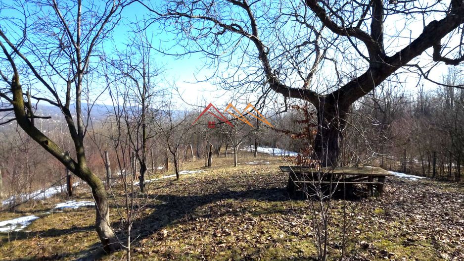CASĂ INDIVIDUALĂ CU LIVADĂ | 2.195 MP TEREN | POIANA CÂMPINA - Poză 21