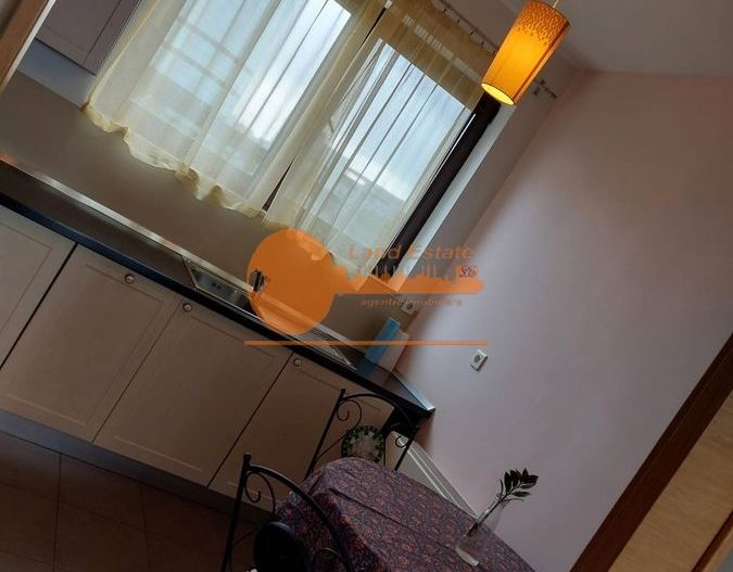 Apartament 3 camere de închiriat – Kiseleff - Poză 9