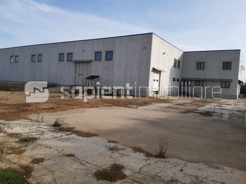 Sapient | Hala situata in com. Borș - Poză 2