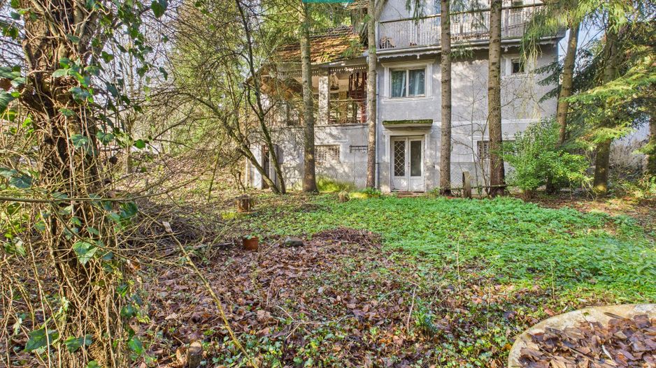 Casă P+E+M cu teren 8163 mp – Roşia Nouă (Petriş) - Poză 3