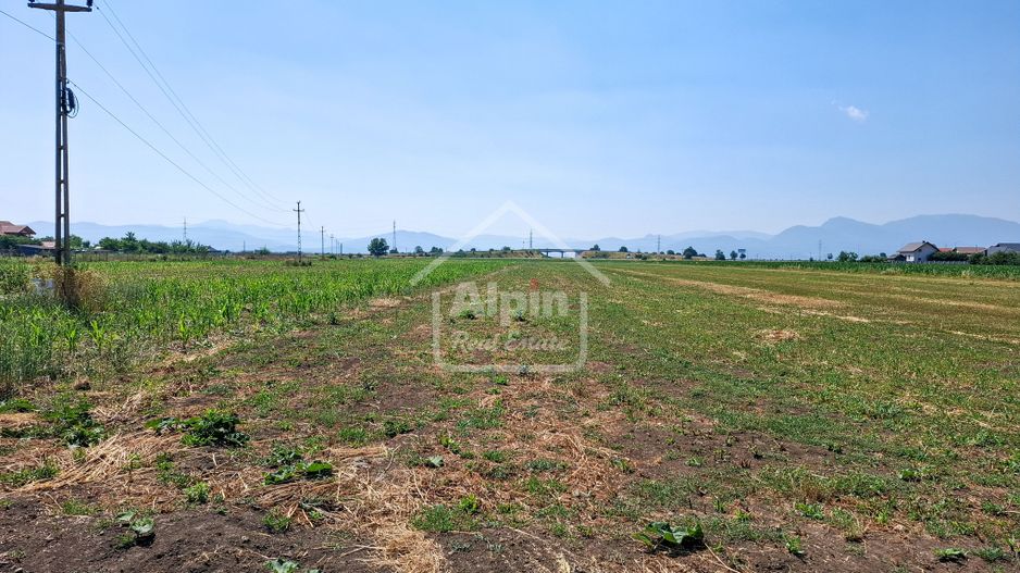 Terenuri Intravilane  Harman - Poză 13