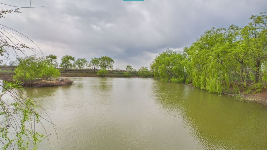 Teren 1 ha cu baltă populată – Alioș (Mașloc) - Poză 1