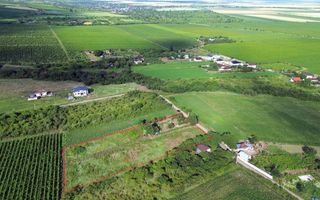 Teren Urlați / Investitie / 5.555 mp pe Traseul MARVIN si Drumul Vinului - Poză 6