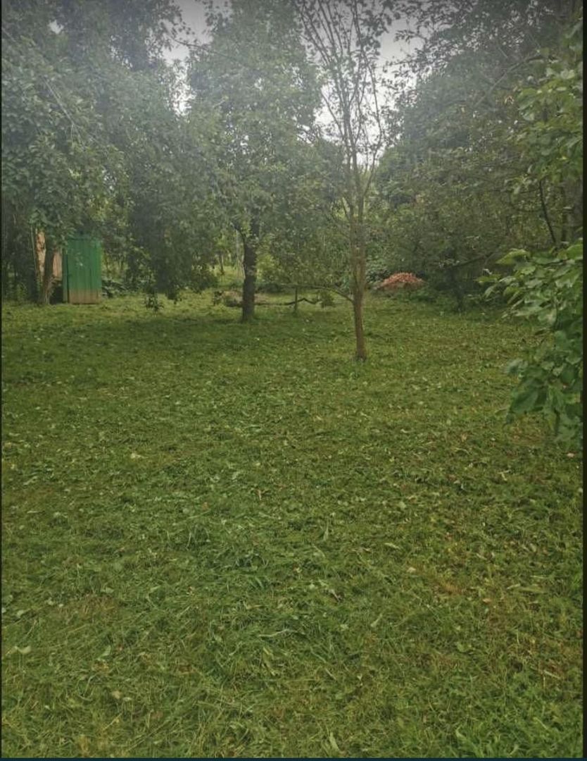 Teren cu casuta in Bercu Rosu - Poză 3