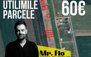 Teren de vanzare in Sanandrei – Perfect pentru casa sau investitie - Poză 1