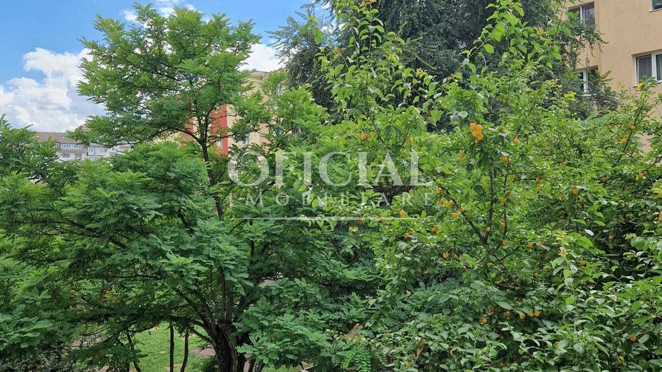 Apartament 2 Camere | 32 Mp | Intermediar |  Gheorgheni Alverna - Poză 6