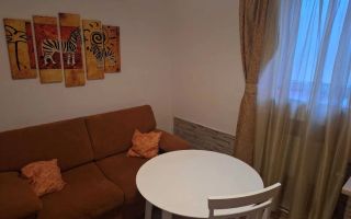 Apartament 1 camera COPOU (LICEUL NEGRUZZI) - 399 EURO - Poză 5