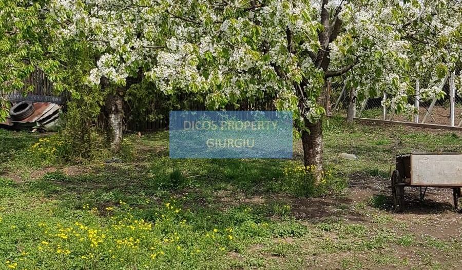 Teren 2.600 mp, utilități, Str. Merișor – Giurgiu - Poză 12