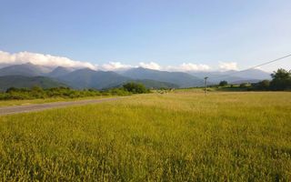 Teren extravilan de vânzare | Cârțișoara | 1800 mp - Poză 4