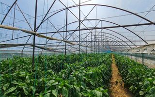 Afacere la cheie! Incasari din prima zi!!! - Poză 2