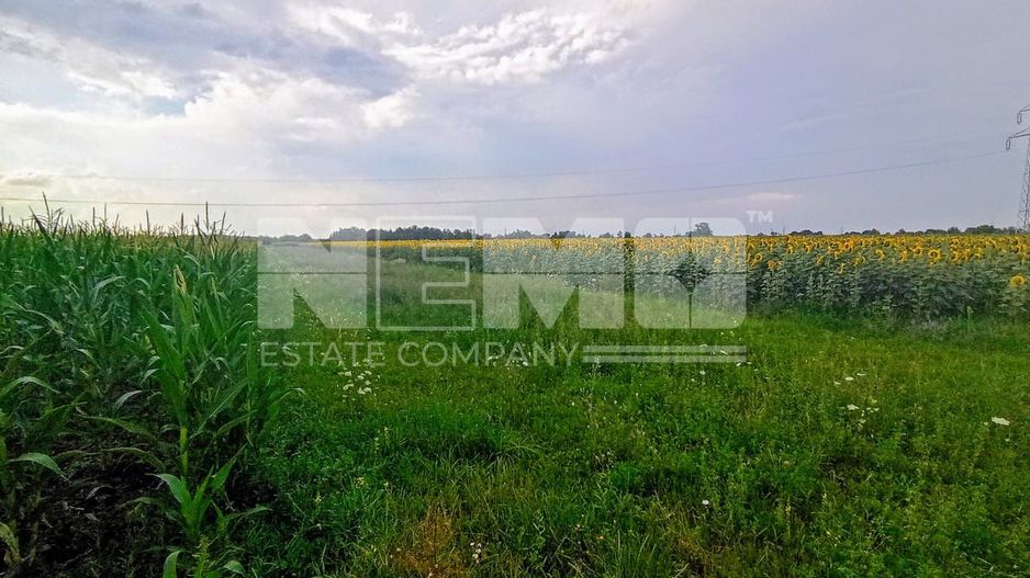 Teren extravilan de vânzare – 13 ari, deschidere la drum 7m - Poză 1