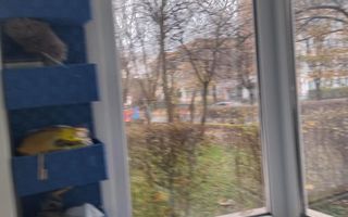 Ap. 3 camere – Babes, zona Universitatii - Poză 12