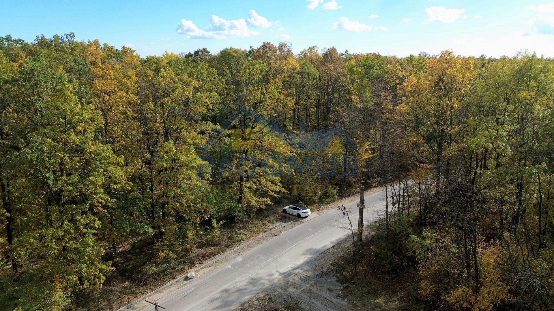 TEREN INTRAVILAN ÎN PĂDURE LA VĂRBILA - PRAHOVA – COMISION 0% - Poză 3