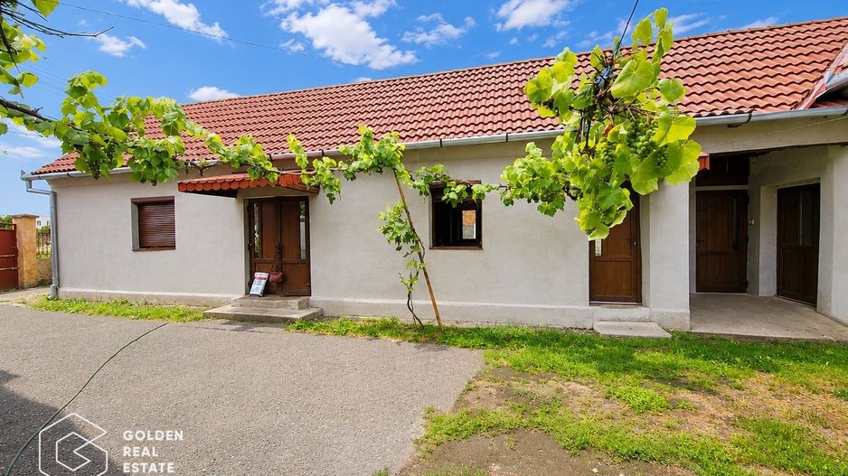 Casa stil brancovenesc, 2 corpuri, localitatea Ususau - Poză 27