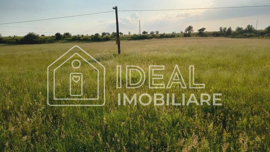 Teren extravilan de vânzare | Cârțișoara | 1800 mp - Poză 3