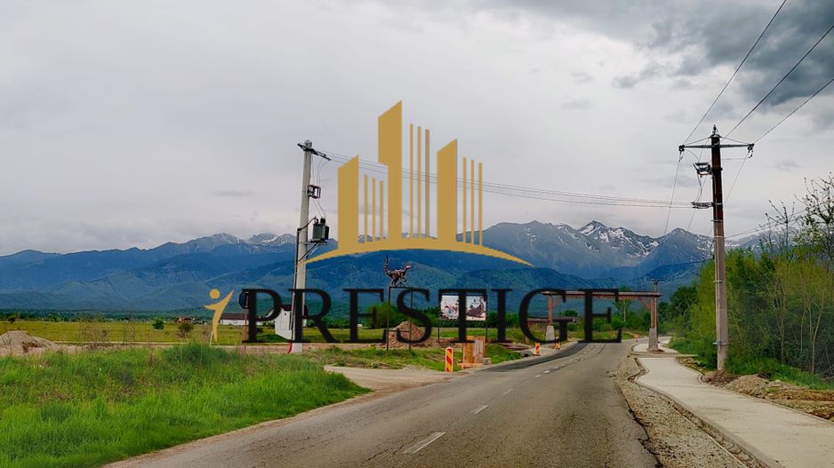 Teren Valea Avrigului – 1.000 mp | 1 km Dino Park | 25 €/mp - Poză 2