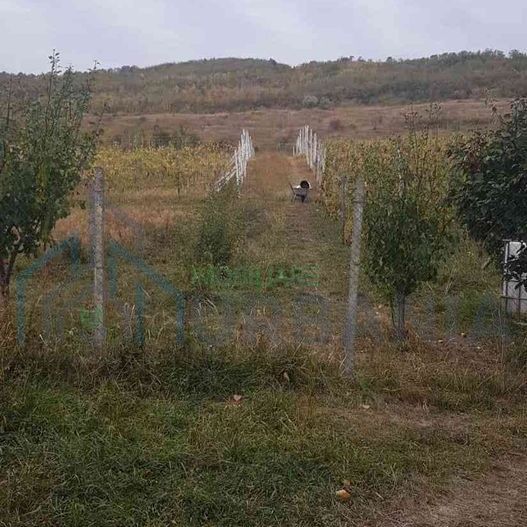 Teren intravilan de vânzare - 6200mp, pădure în apropiere - Poză 1