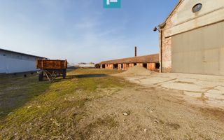 Teren și hale pe Calea Aradului din Periam - Poză 13