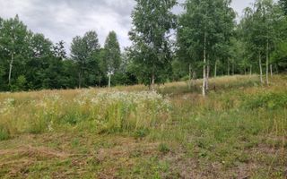 Casa si teren potential turistic Slatioara-Suceava - Poză 10
