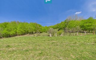 Teren  pentru investiții  în Luncoiu de Jos - Poză 9