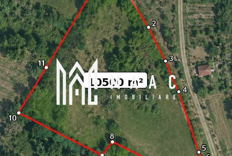 Teren 10500MPU I Daia I Acces 2 drumuri I Ideal Construcții I Cabana - Poză 2