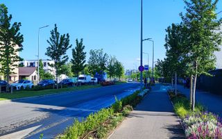Stradal Prelungirea Ghencea- Drumul Valea Larga - Poză 4